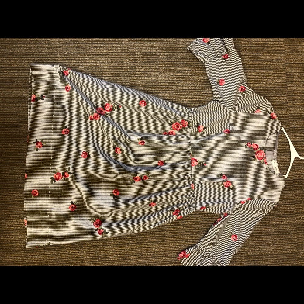 Roolee Embroidered floral Dress